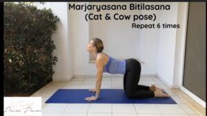 majaryasan bitilasana cat and cow pose